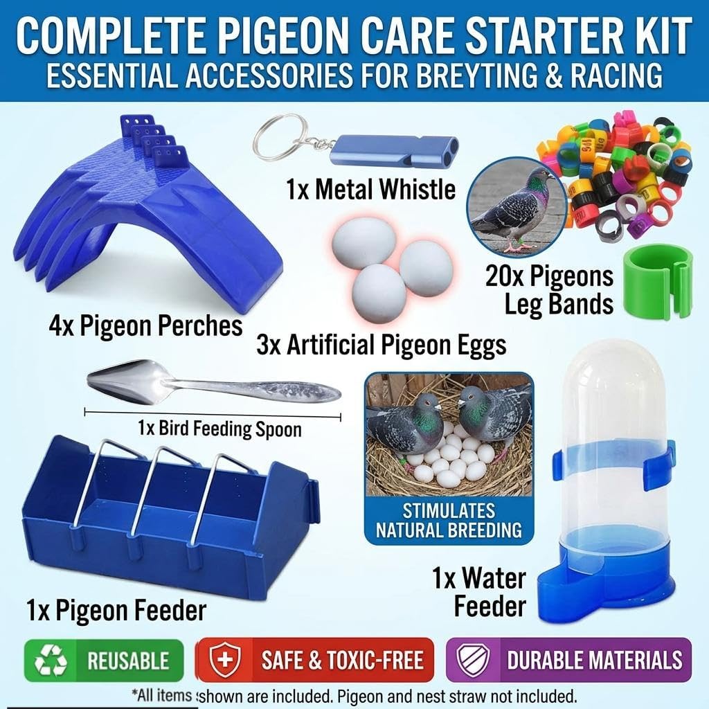 spark future Complete Pigeon Care Starter Kit Accessories Dove Rest Stand Automatic Waterer Feederb Premium Pigeon Perches Leg Bands Artificial Dummy Eggs