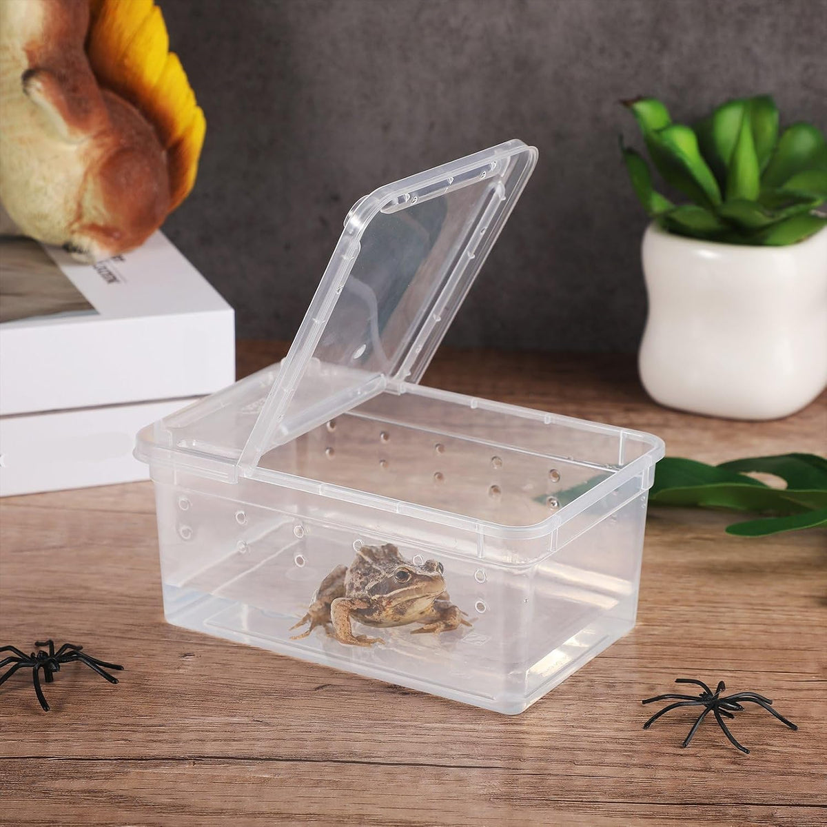 8 Pcs Reptile Breeding Box, Vent Holes, Clear, 5.9 x 3.9 x 2.5 Inch