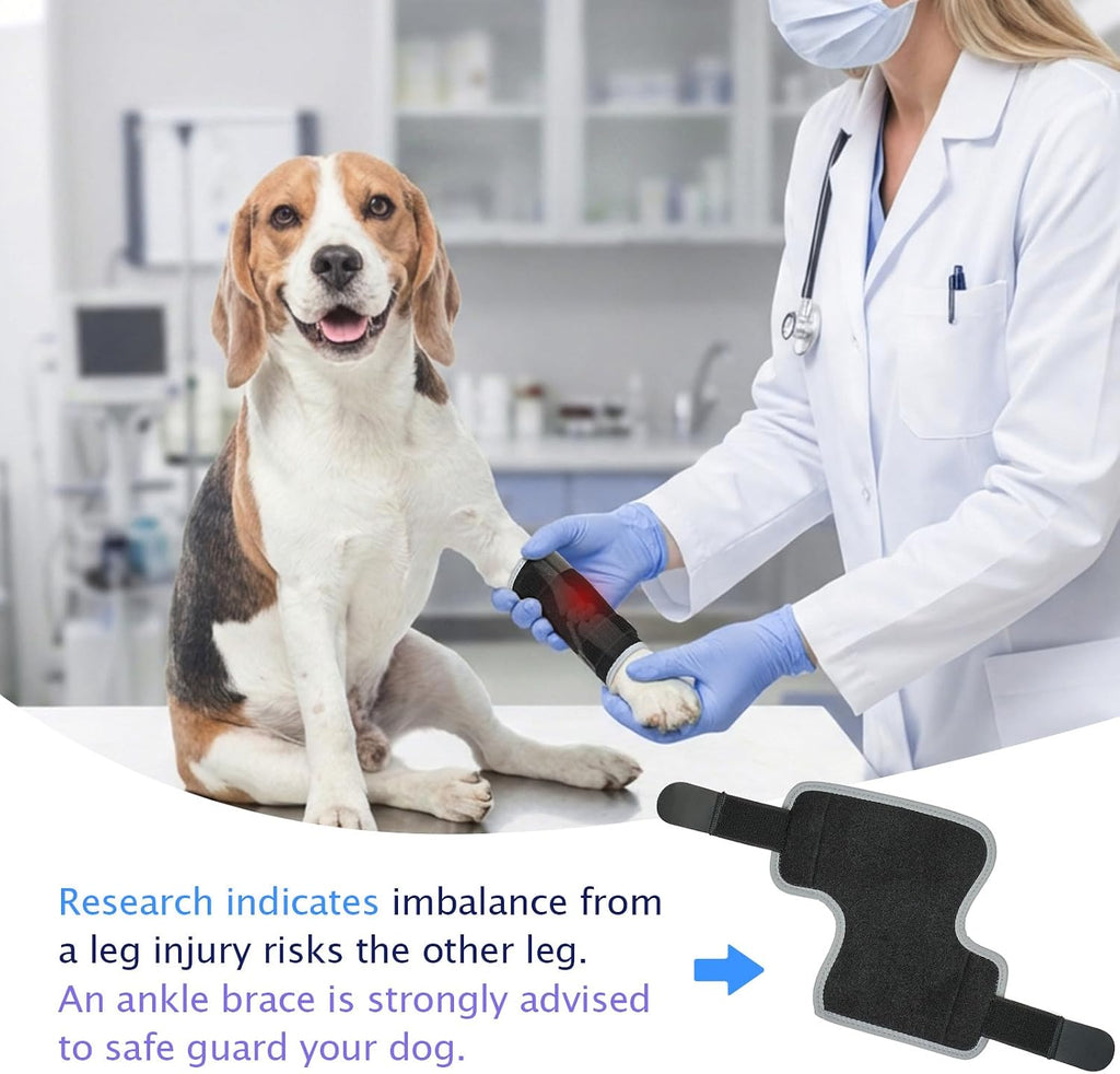 Dog Wound Care Front Legs Hock Wrap Compression Providing Stability M