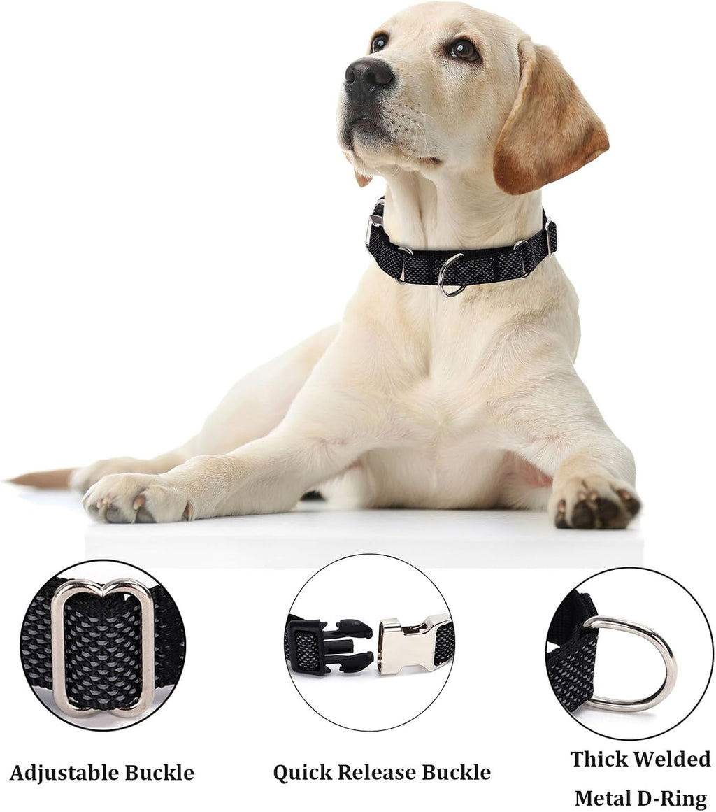 Reflective Martingale Dog Collar with Quick-Snap Metal Buckle