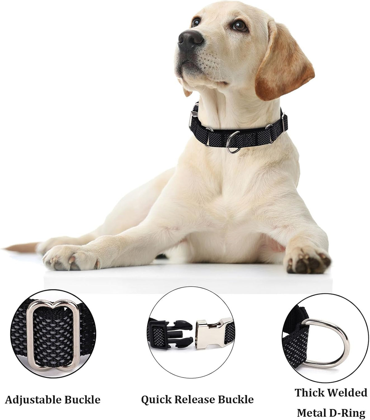 Reflective Martingale Dog Collar with Quick-Snap Metal Buckle
