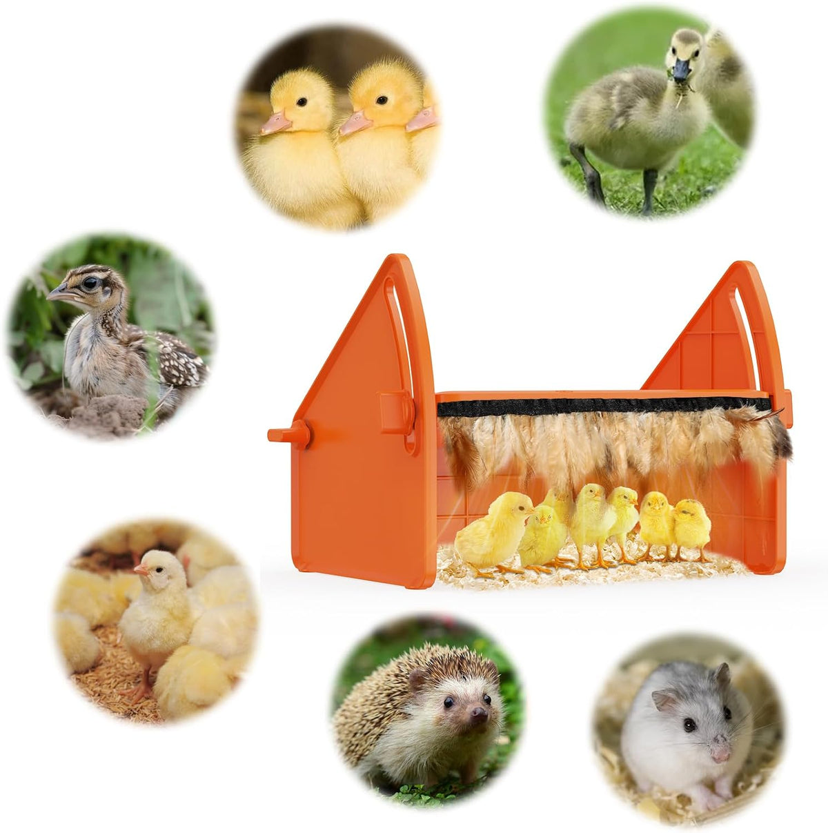 Chick Brooder Heater Plate for Baby Chicks, Ducklings & Poultry
