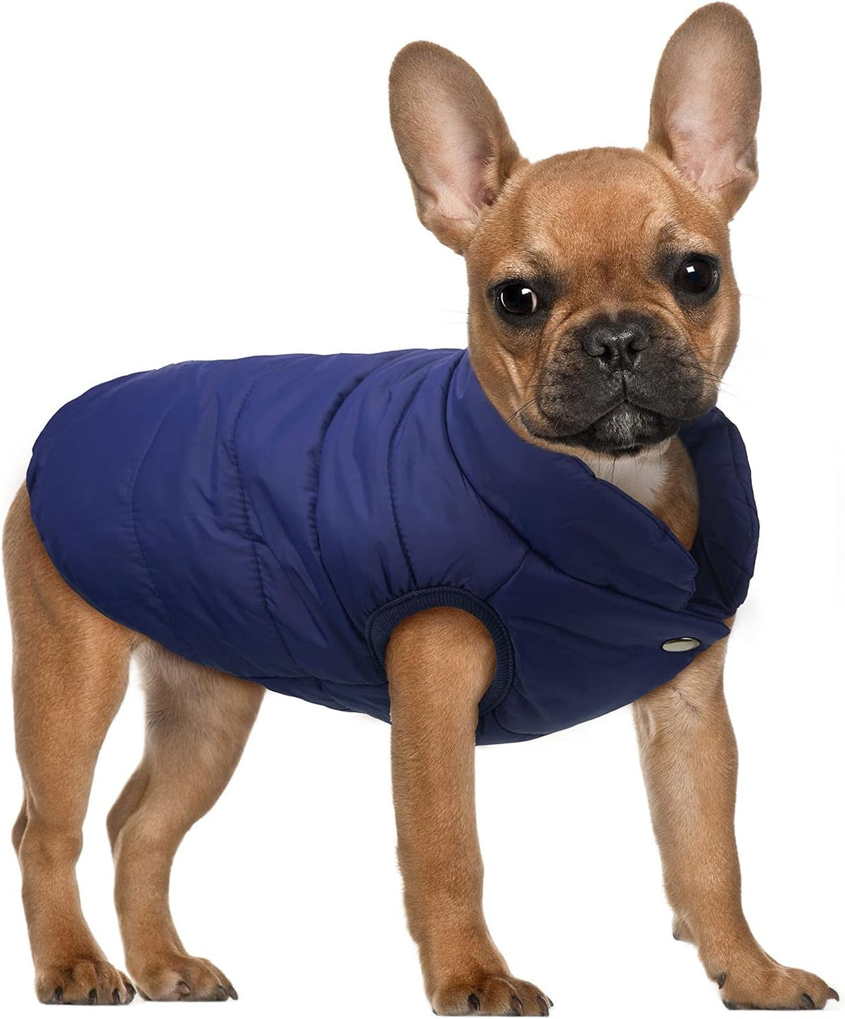 Syhood 2 Pcs Dog Jacket Fleece Lined Windproof Winter Coat, Navy,Red, L