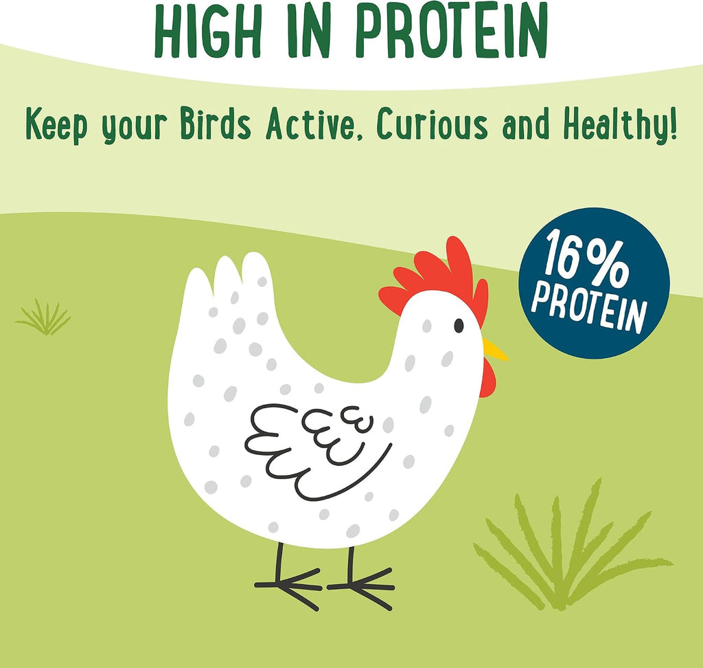 Manna Pro Forage Clusters Chicken Treats, Black Soldier Fly Larvae, 14 oz (Pack of 2)