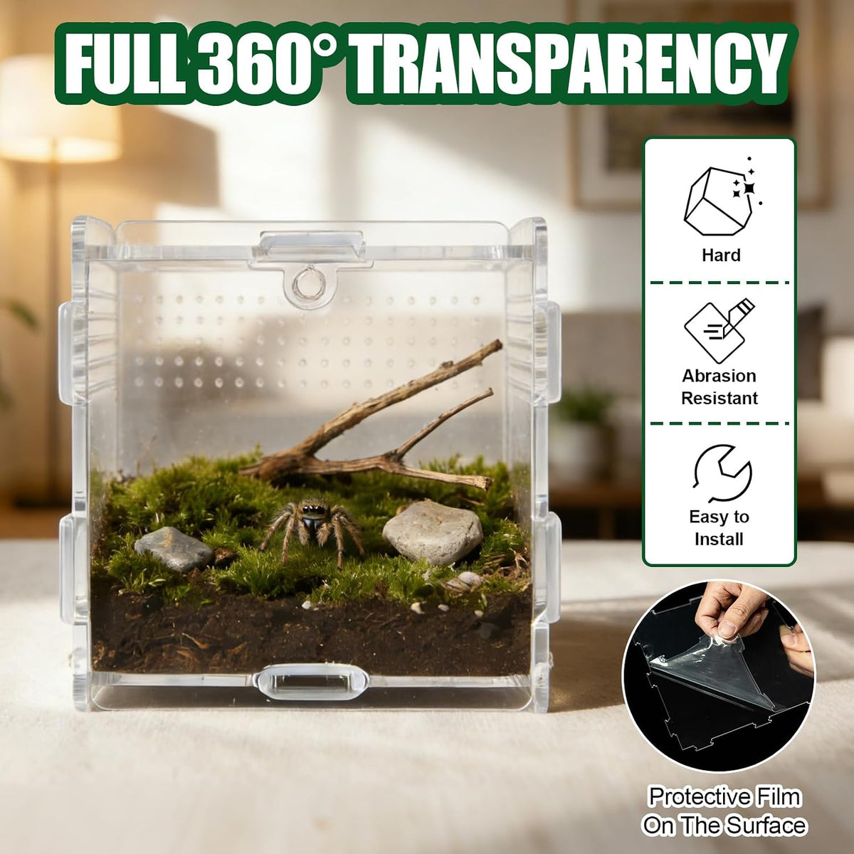 Jumping Spider Small Terrarium 3.5×3.5×9.5 Inch Acrylic Enclosure