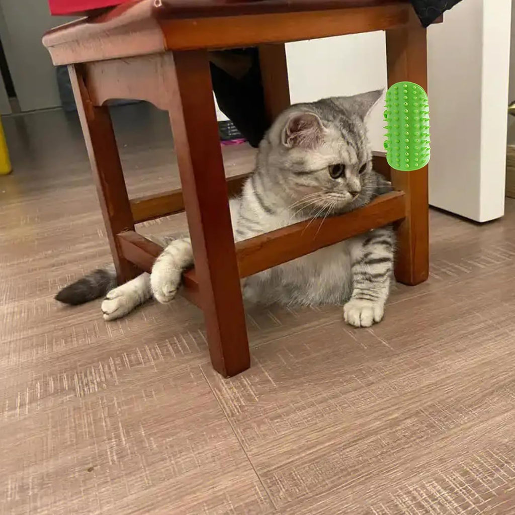 Cat Self Grooming Brush Silicone Cats Combs Indoor Soft Cat Face Scratcher