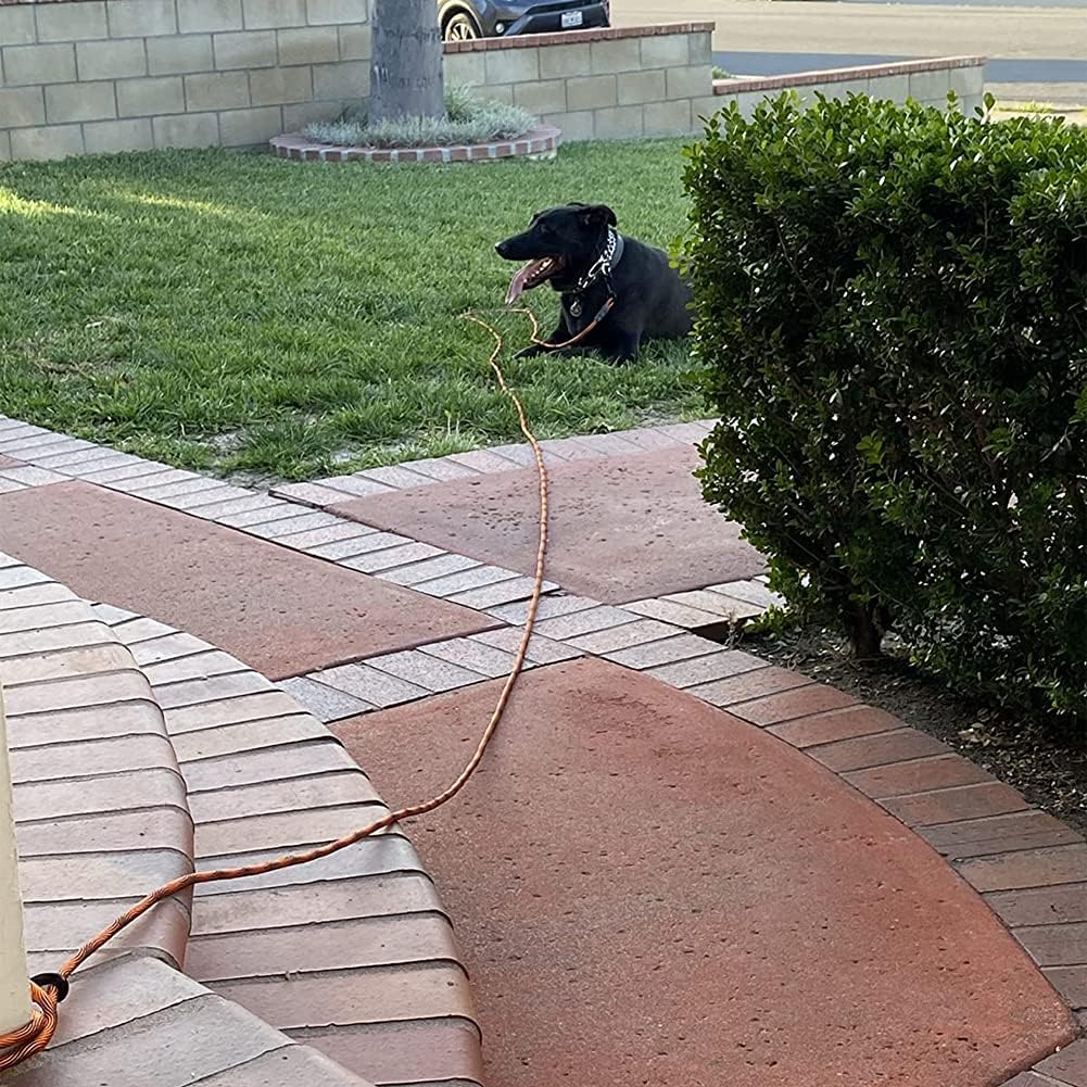 12ft Dog Tie Out + 15ft Long Dog Leash