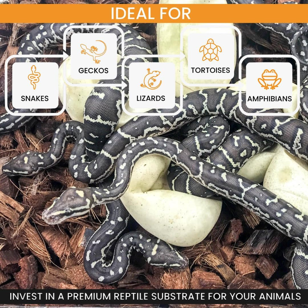 ReptiChip Reptile Bedding Loose Coconut Chip 12 Quart Coco Husk Substrate Mulch for Snake Habitat, Ball Python Terrarium, Turtle Tanks, Tortoise Enclosure