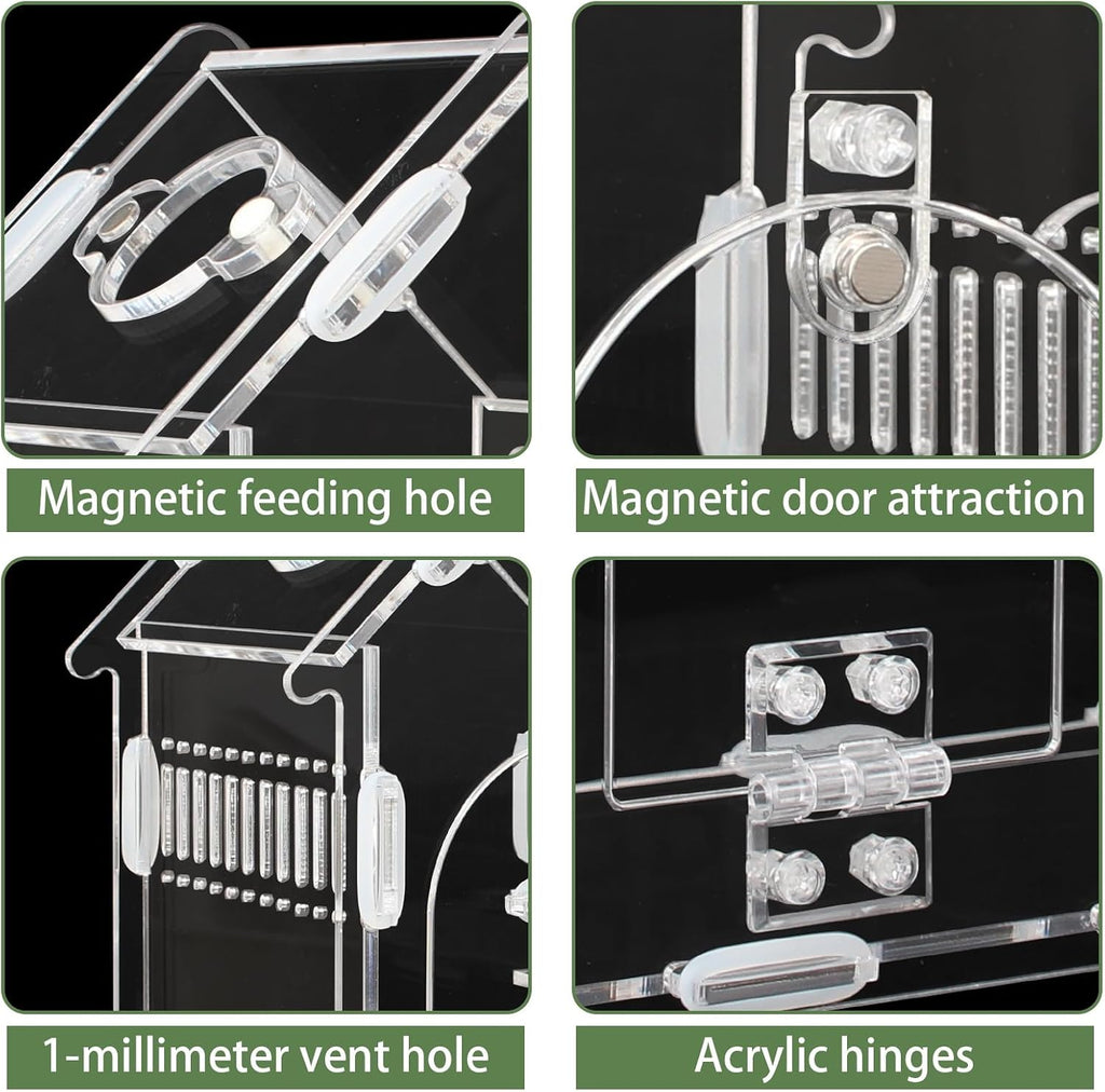Acrylic Jumping Spider Enclosure Magnetic Lock Terrarium