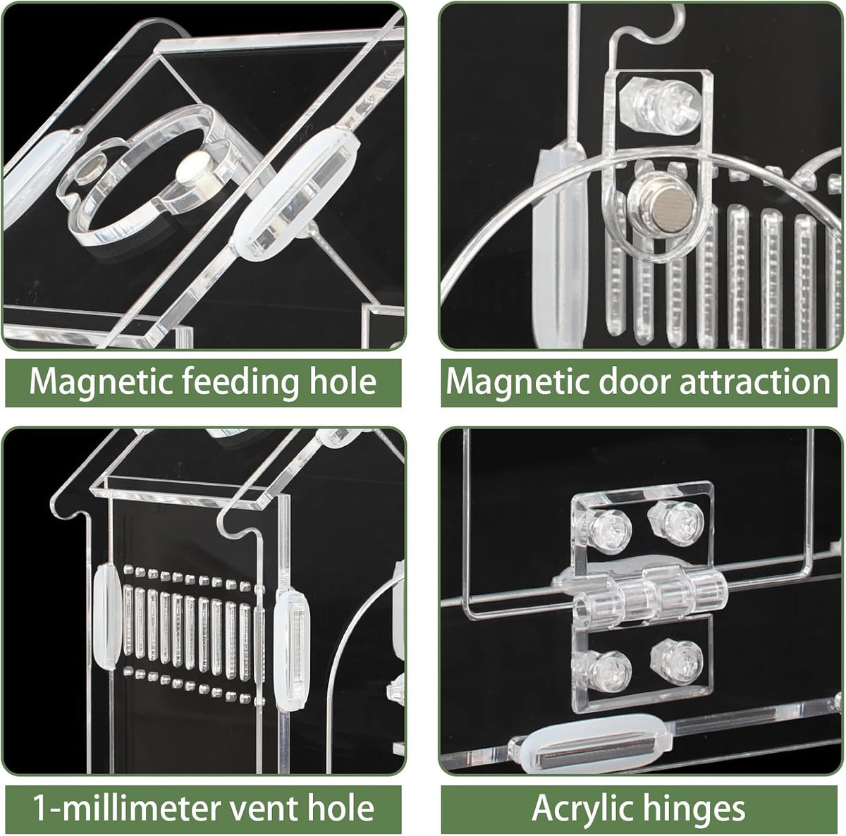 Acrylic Jumping Spider Enclosure Magnetic Lock Terrarium