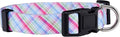 Native Pup Easter Dog Collar, Cute Spring Gift by NativePup