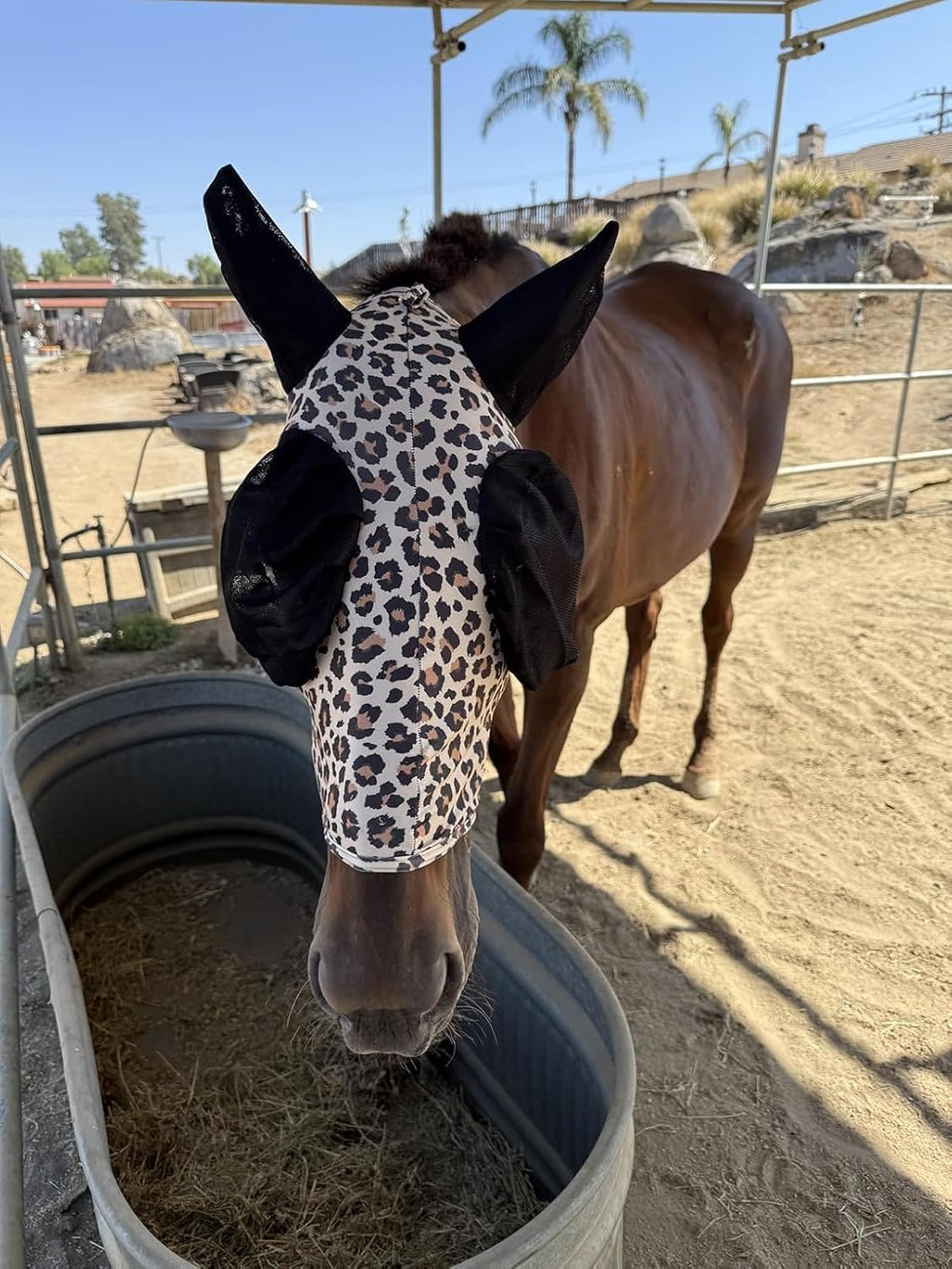 Stretchable UV-Blocking Equine Fly Mask with Moldable Ear Covers, Adjustable Comfort Mesh Straps, Leopard-Pattern Pasture & Trail Protection Perfectly Sized for Full Sized Horses -