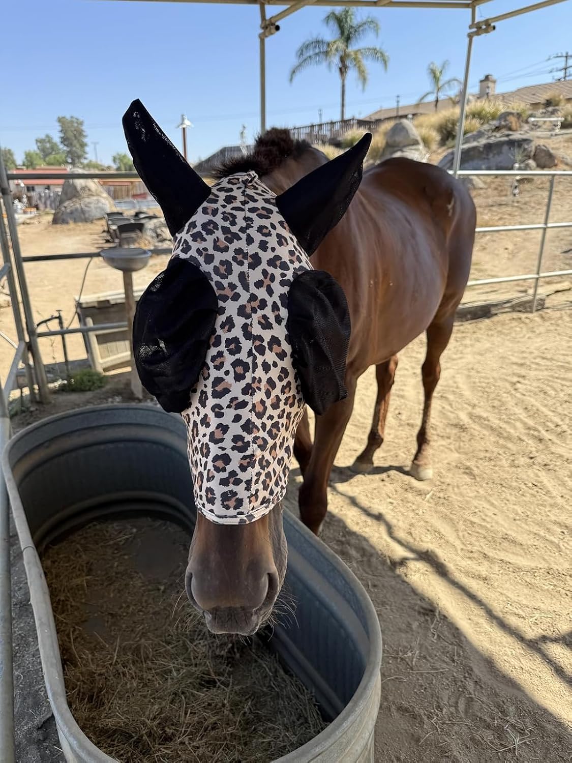 Stretchable UV-Blocking Equine Fly Mask with Moldable Ear Covers, Adjustable Comfort Mesh Straps, Leopard-Pattern Pasture & Trail Protection Perfectly Sized for Full Sized Horses -