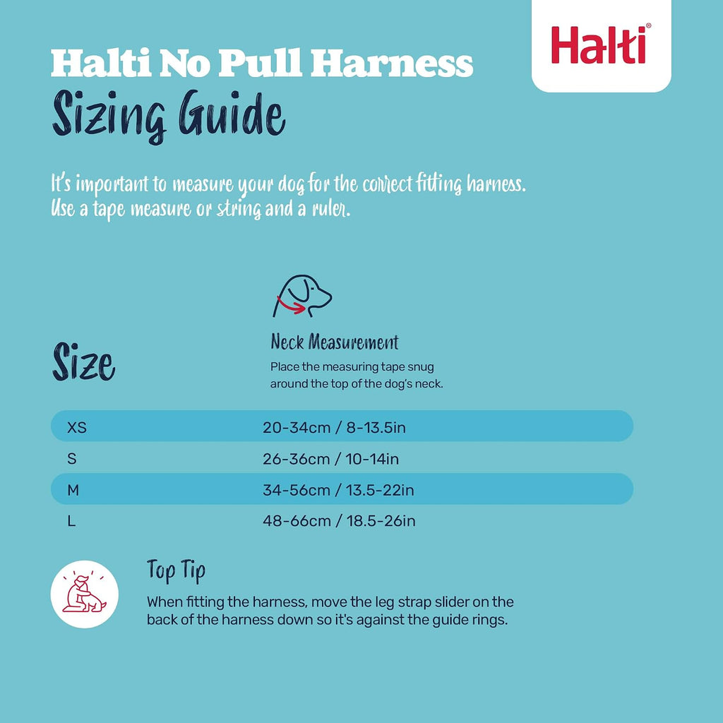 Halti No Pull Harness (Size M) & Training Leash (Size L, Black) Bundle