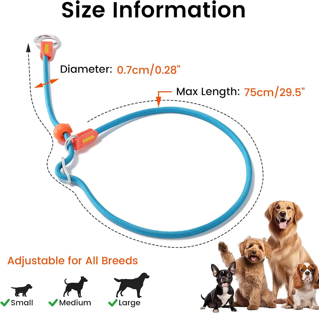 HowGo Slip Collar for Dogs,Adjustable Martingale Collar(Lavender,L)