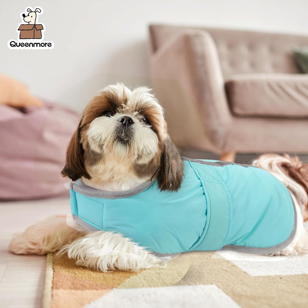 Queenmore Dog Winter Coat, Cold Weather Dog Jackets for Samll Dogs