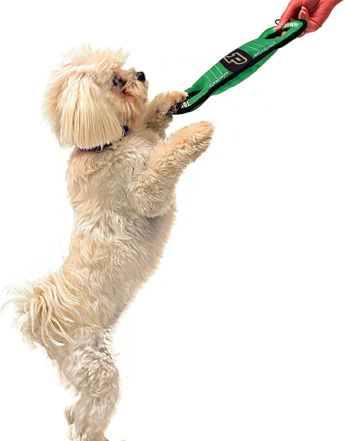 NCAA Football Field Dog Toy with Squeaker. - Purdue Boilermakers - for Tug, Toss, and Fetch. - Tough& Durable PET Toy
