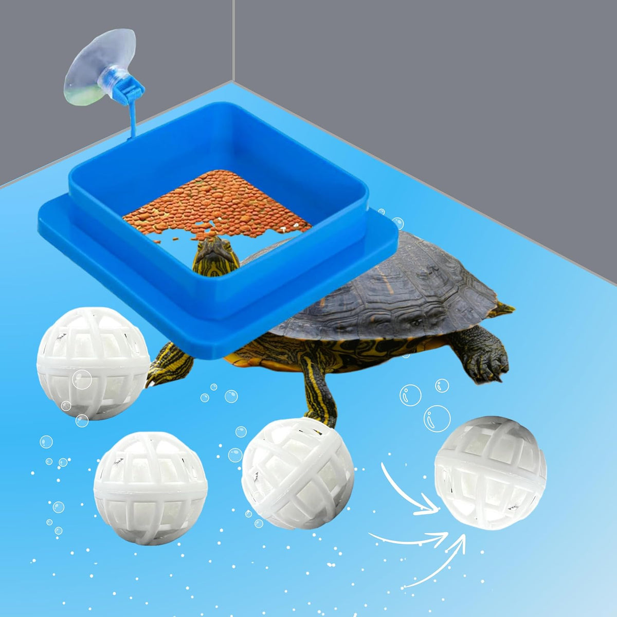 2pcs Aquatic Turtle Tank Accessories Feeding Ring and 2pcs Nitrifying Balls Set, Fish Food Holder and Aquatic Toys for Turtles Tortoise Goldfish Guppy Koi Puffer (Blue, Square+Round)