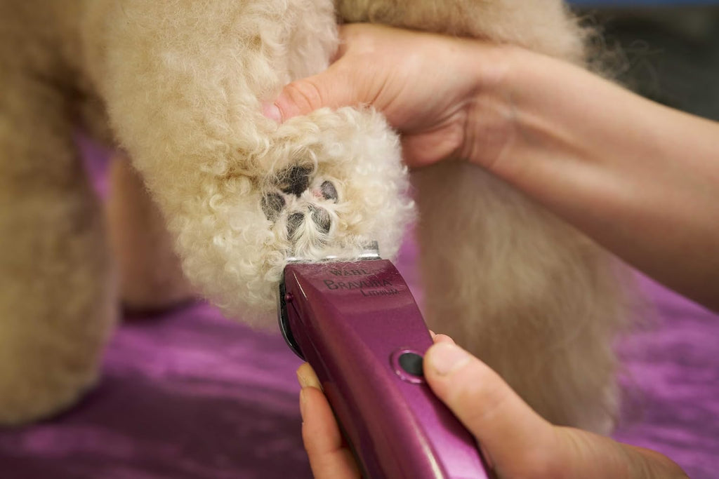 Wahl Professional Animal Bravura Lithium Ion Clipper, 41870-0423, Purple
