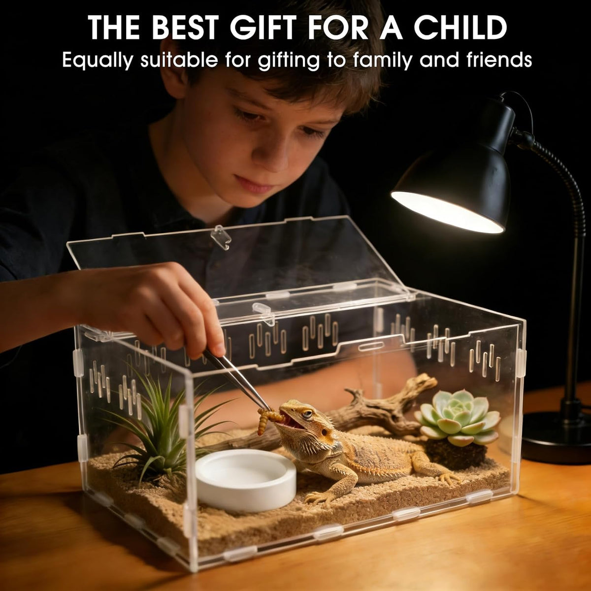 Acrylic Reptile Terrarium, Tarantula Enclosure(Tweezers & Bowl Included)