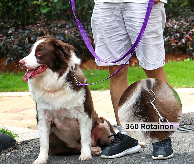 AMAGOOD Dog/Puppy Obedience Recall Training Agility Lead-15 ft 20 ft 30 ft 50 - Image 5