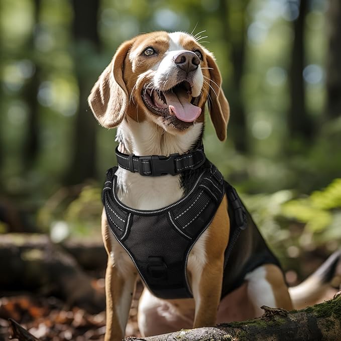 Joytale Reflective Dog Collar, Soft Neoprene Padded Breathable Nylon Pet Collar - Image 2