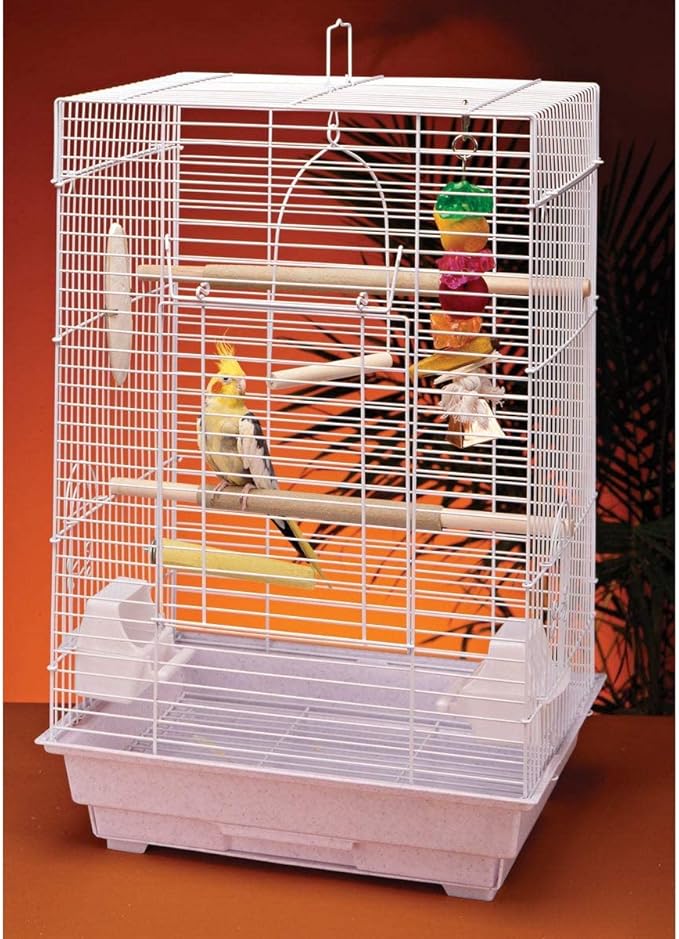 PENN-PLAX Cockatiel & Small Parrot Starter Kit - Image 3