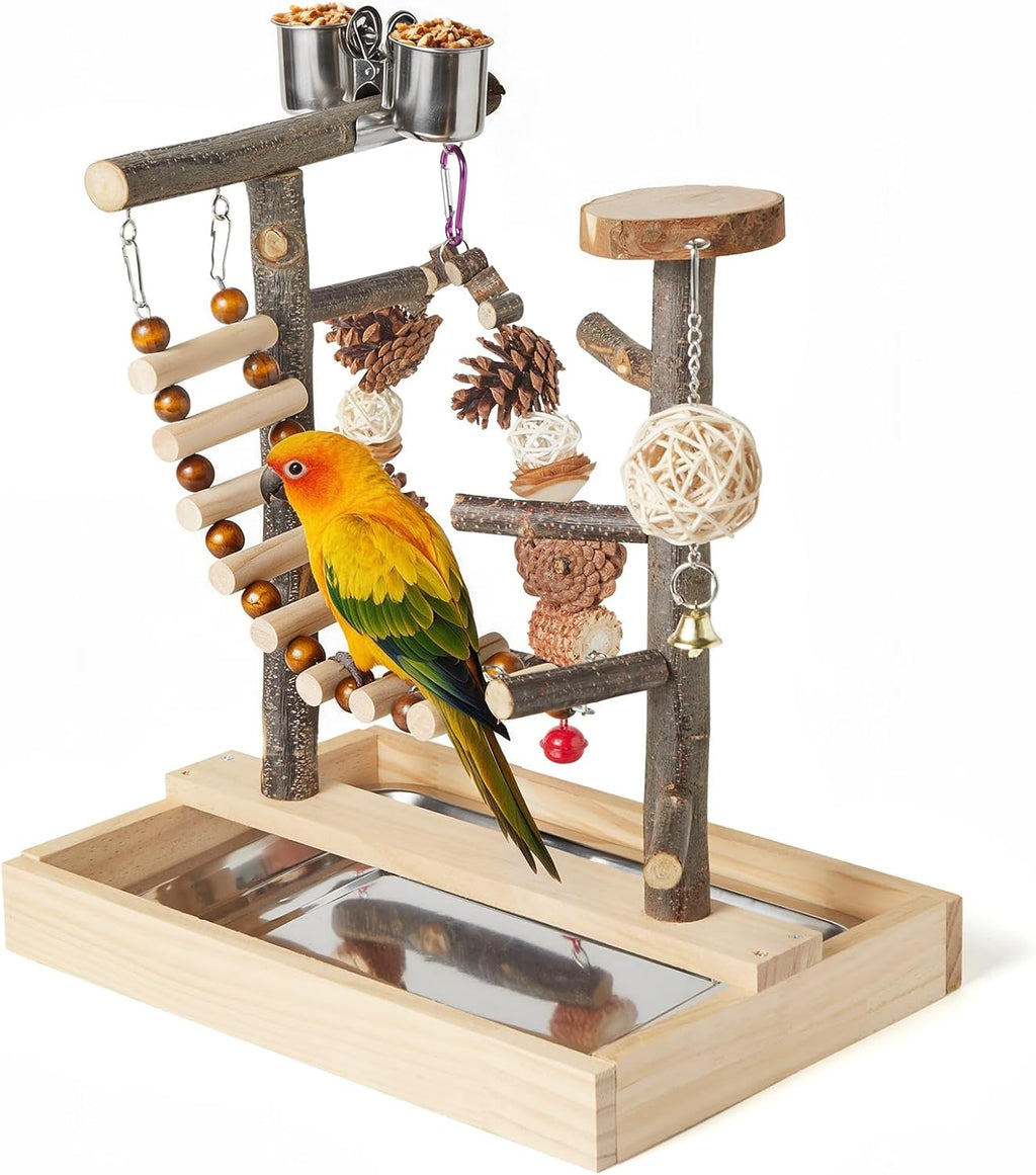 Bird Playground Wooden Parrot Stand Tabletop Parrot Play Gym