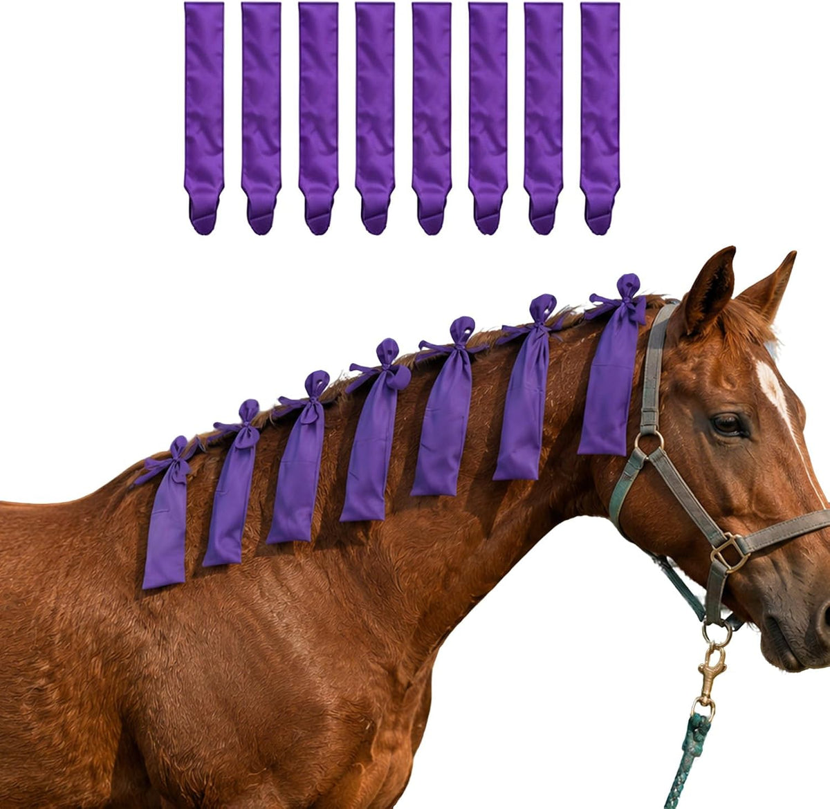 Horse Mane Bags for Horses - Protect Mane from Wind, Sun & Mud - Anti-Tangle & Anti-Breakage - Nylon Washable - Set of 8 (Purple & Black) (Purple)