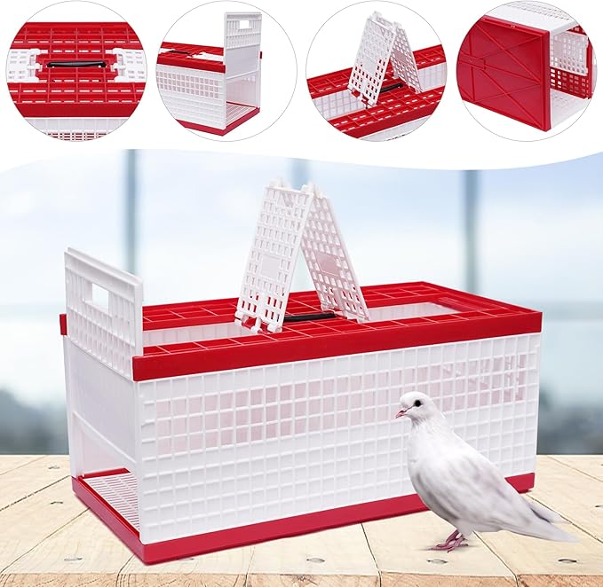 Folding Pigeon Cage with Handle, Portable Plastic Bird Travel Carrier Cage with - Image 3