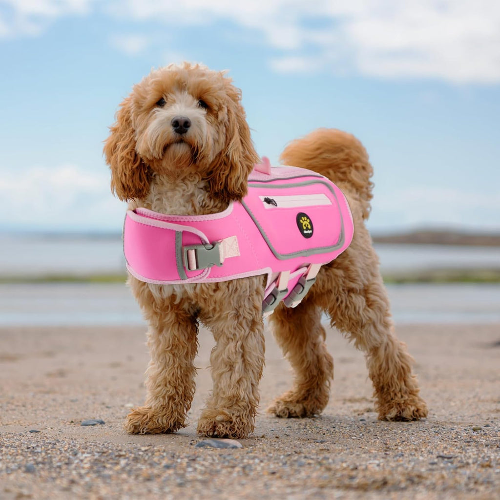 Dog Life Jacket, Bright Colors Pet Swimming Vest for Boating M