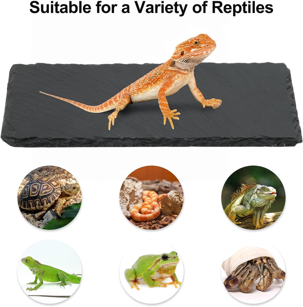 Reptiles Slate Rocks, Basking Surface Reptile Basking Platform, Enhances Climbing Activity, 9.84"x4.72", Black Gray