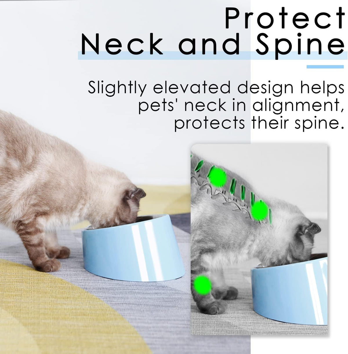 SUPERDESIGN Anti-Vomiting 15° Slanted Pet Bowl, S/0.5 Cup, Blue
