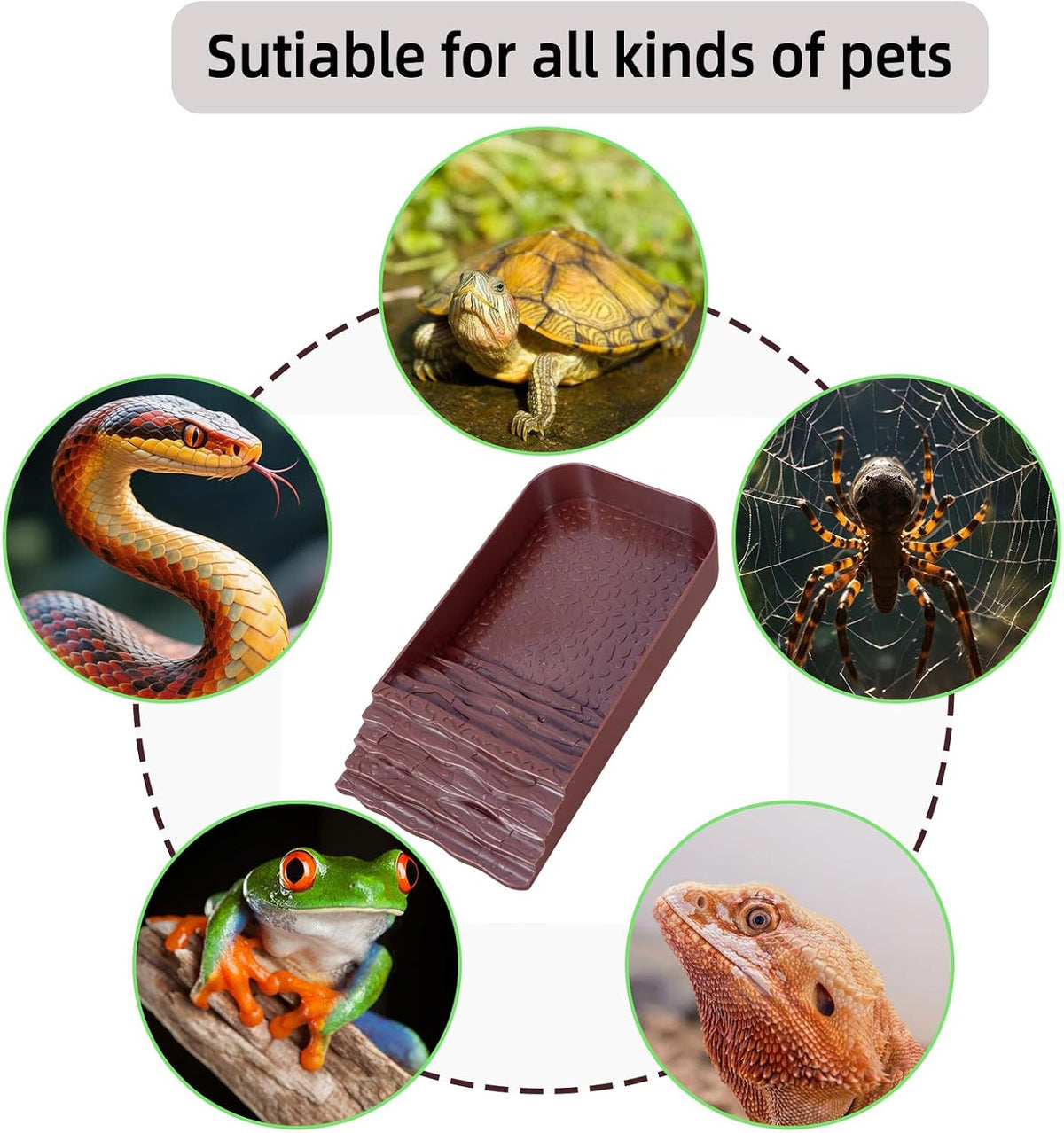 7 PCS Reptile Water Dish Bathing Pool Turtle Habitat Accessories