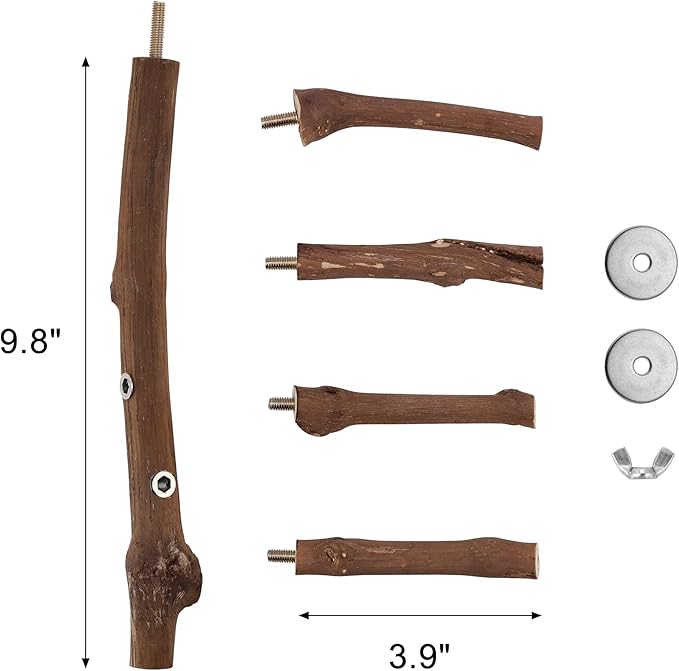 CozyCabin Natural Bird Perch Stand - Image 5