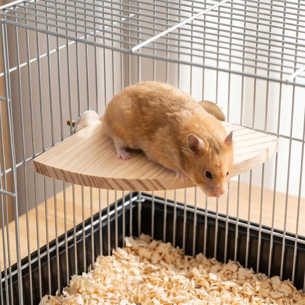 Bird Perch, 3 Pack Bird Playground Woodern Hamster Platform