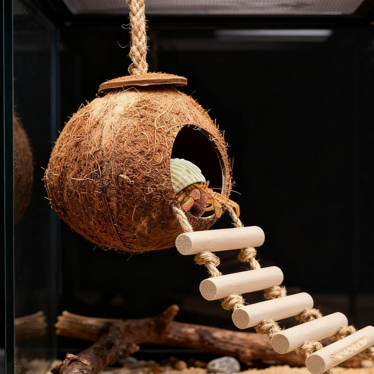 Reptile Tank Accessories Natural Coconut Shell Hideout & Climbing Ladder