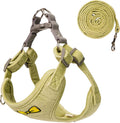 No Pull Dog Harness with Leash Pet Soft Vest Harness and Leash Set Dog Cat No Choke Escape Proof Harness Reflective Step in Harness for Small Medium Dogs Cats(Pastel Green, Large)