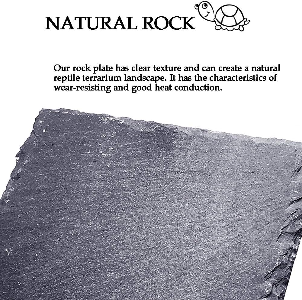 kathson Reptile Basking Platform (7.9 x 11.8 inches), Natural Rock Plate Turtle Food Bowl Feeding Dish Resting Terrace Habitat Decor for Tortoise Turtle Lizard Bearded Dragon Crested Gecko Snake