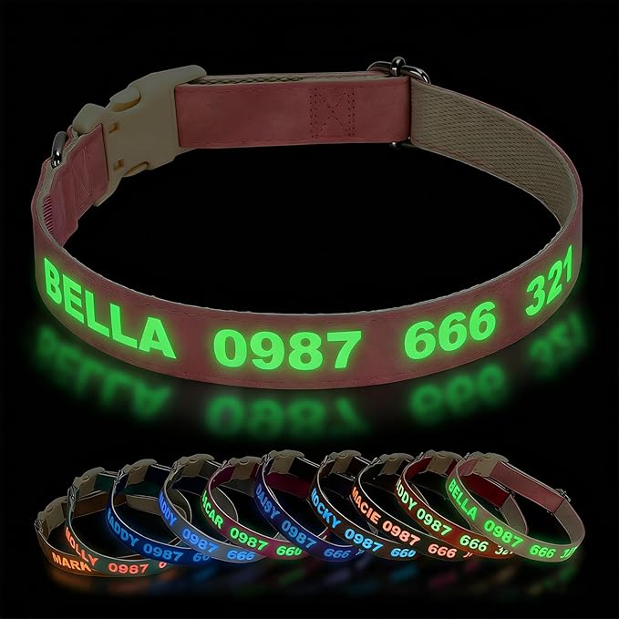 DOG WORLD Custom Fluorescent Dog Collar by DOG+WORLD