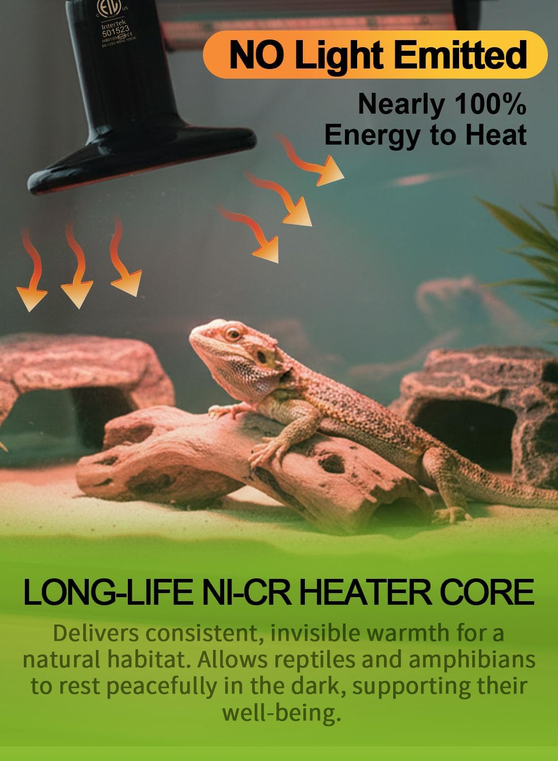 2-Pack 100W Ceramic Heat Lamps with 1-pcs Digital-Thermometer