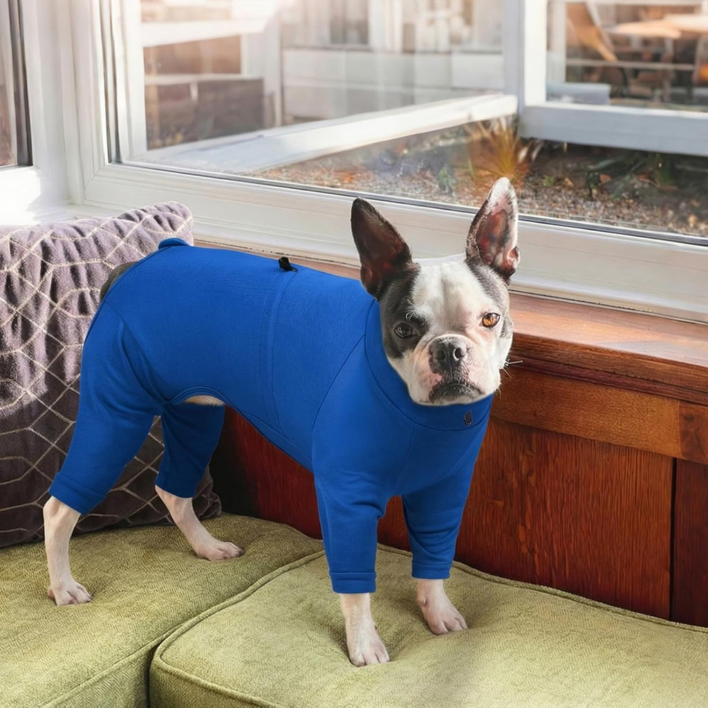 Recovery Suit for Large Dogs, Adjustable Dog Onesie, Blue, 2XL
