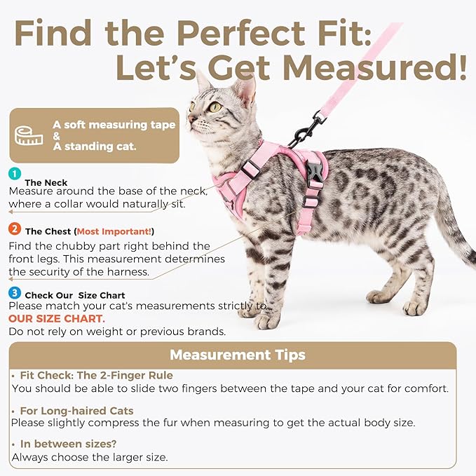 Cat Harness and Leash Set Escape Proof Tactical Small Kitten Harness Emotional - Image 2