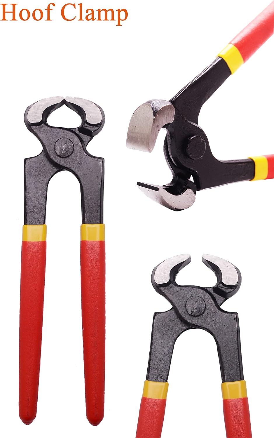 LONG RIVER 8 inch Farrier Tool Kits （5 Piece） Mini Rasp Hoof File Equine Metal Shears Farriers Hoof Nipper for Goat Pig