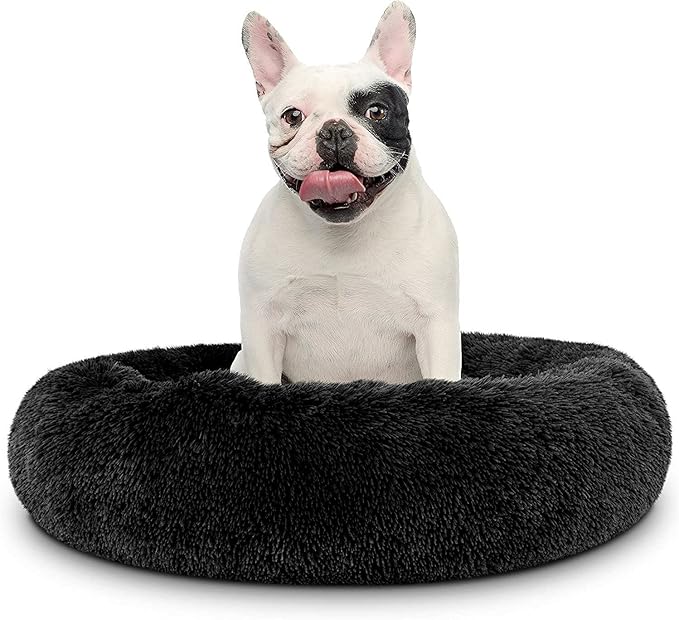 Cat Beds for Indoor Cats by Unknown