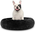Cat Beds for Indoor Cats by Unknown