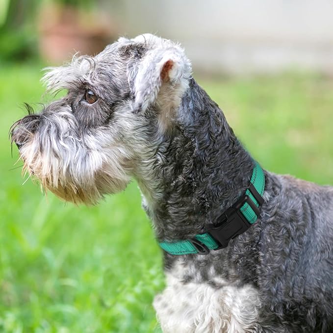 Joytale Reflective Dog Collar, Soft Neoprene Padded, Metal D-Ring, Nylon Pet - Image 2