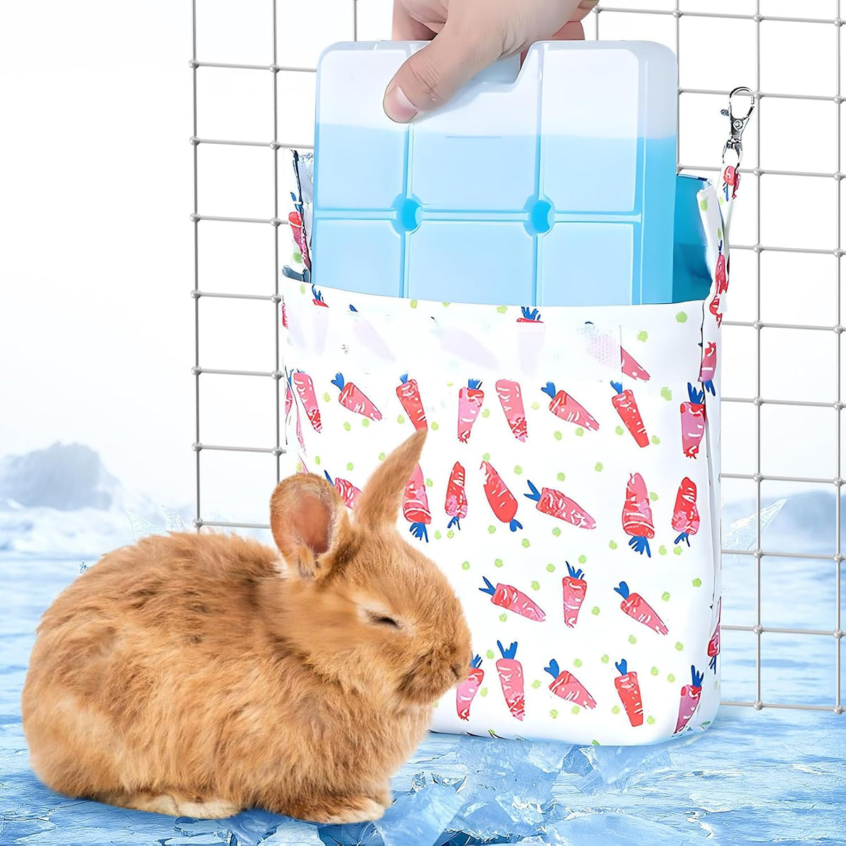 Hamiledyi Rabbit Cooling Pouch with Ice Pack - No Condensation Pad for Bunny Cage Accessories, Washable Cooling Mat for Small Animals,Ferret, Guinea Pig, Chinchilla(Carrot and Animal Pattern, 2kits)
