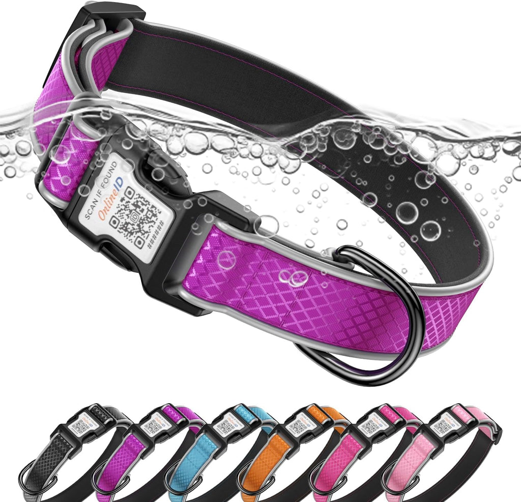 Personalized Dog Collar with QR Code Dog Tag, Purple,