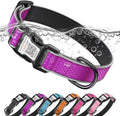 Personalized Dog Collar with QR Code Dog Tag, Purple,